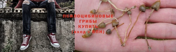 ешки Михайлов