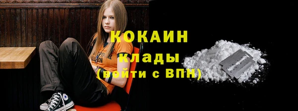 ешки Михайлов