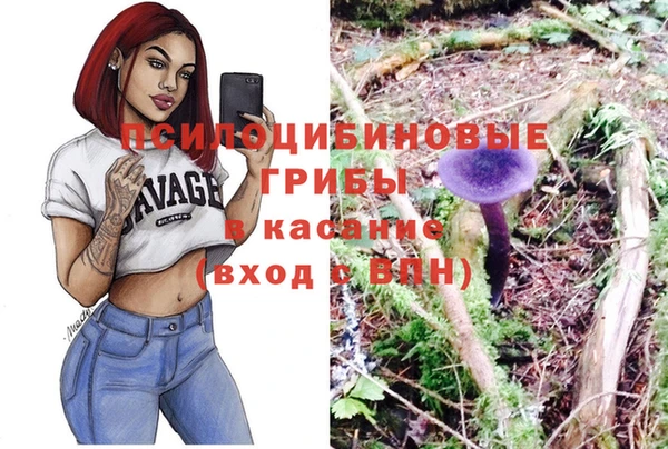 бошки Михайловск