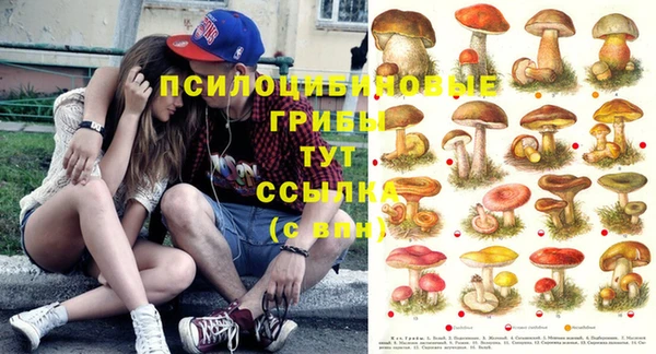 стаф Невьянск