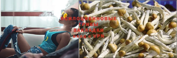 бошки Михайловск
