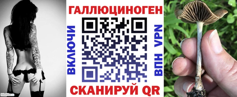 Псилоцибиновые грибы Cubensis  маркетплейс клад  Тетюши  как найти закладки 